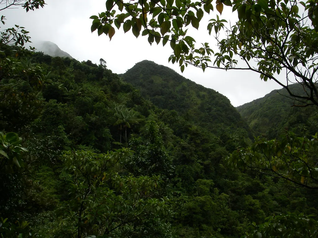 Morne Trois Pitons National Park